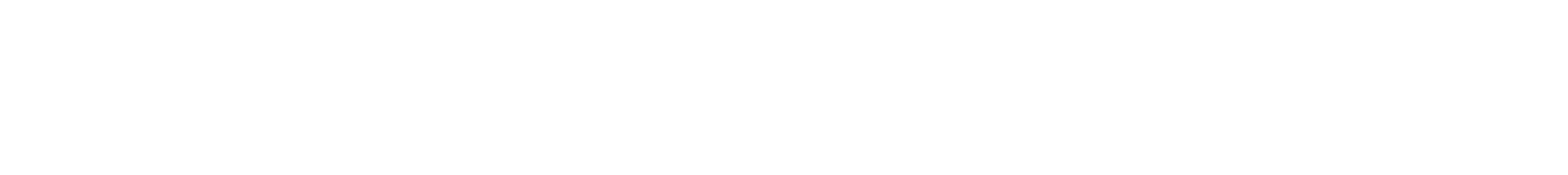 Travelcoup